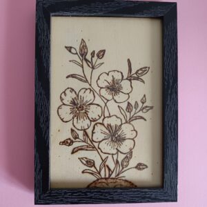 fleurs sauvages